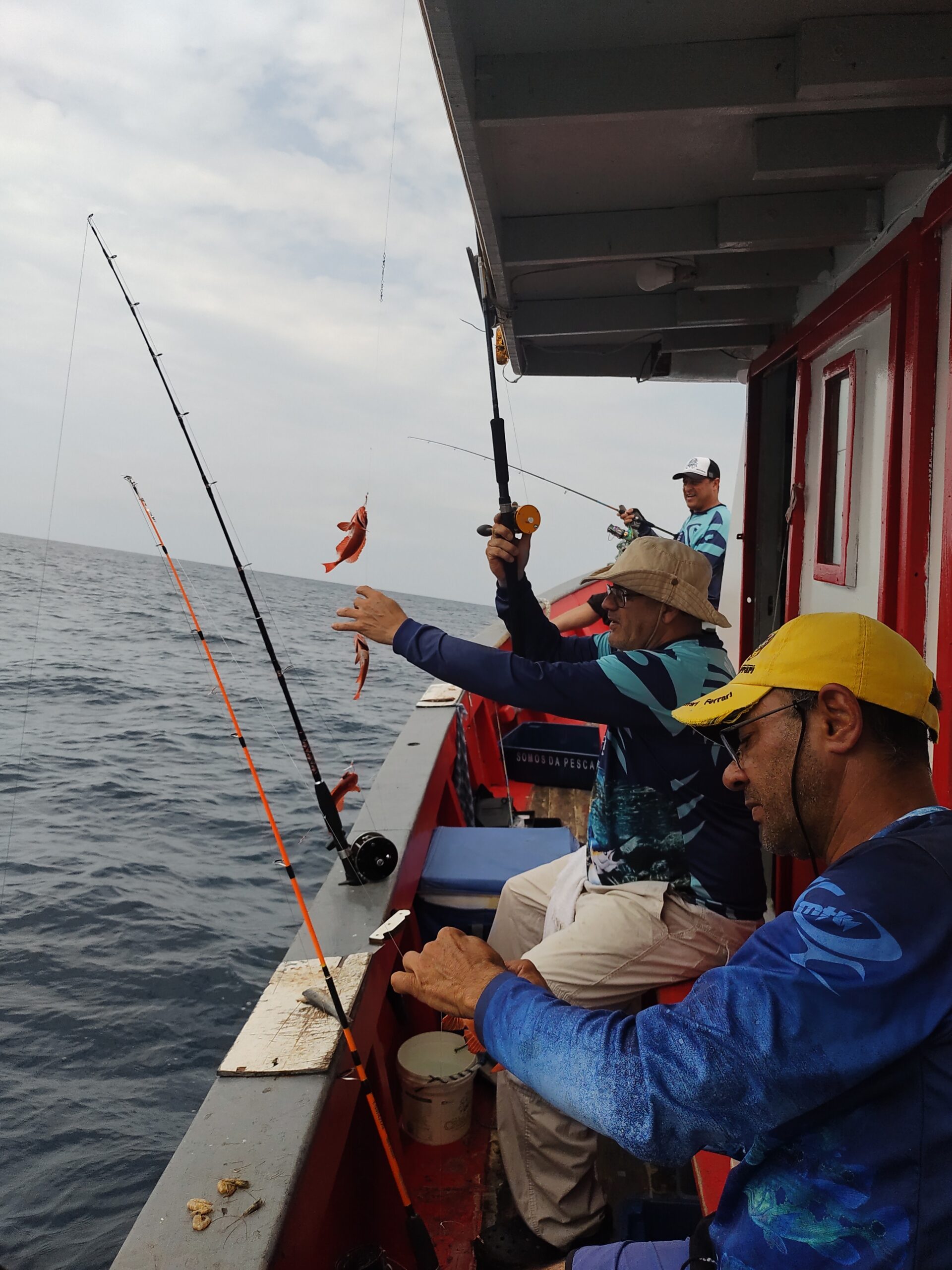 Pescaria Alto Mar – Barco Gláucia Tenório – Ubatuba - Image 17
